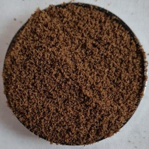 Artemia